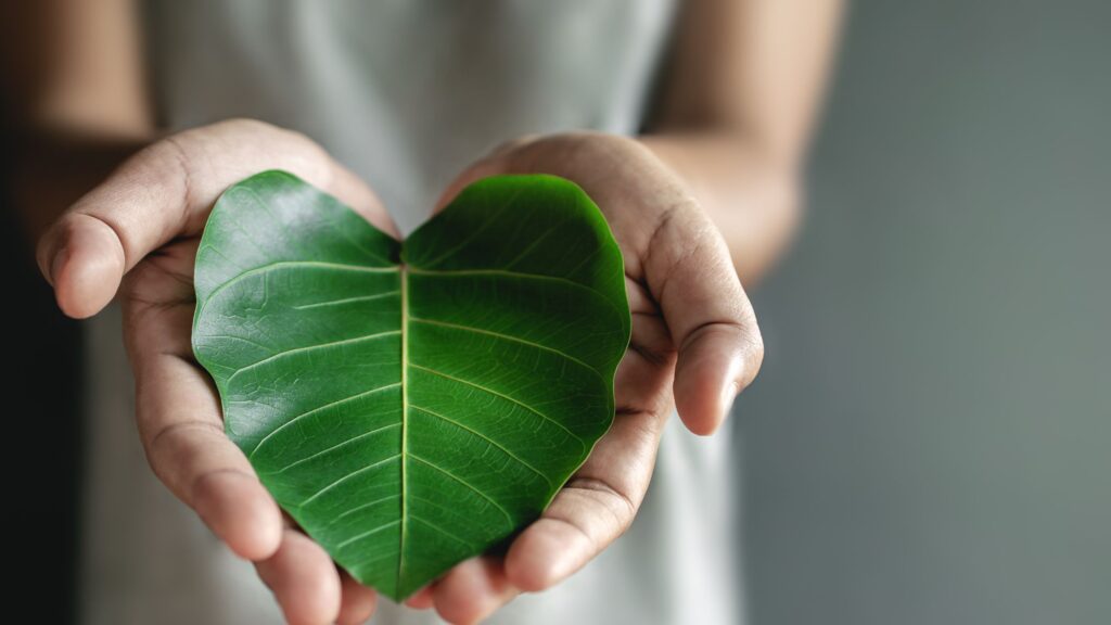 Eco Friendly heart shaped leaf being passed towards camera